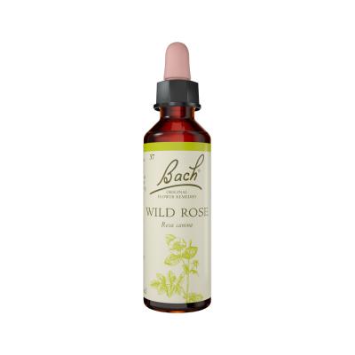 Bach Flower Remedies Wild Rose 20ml